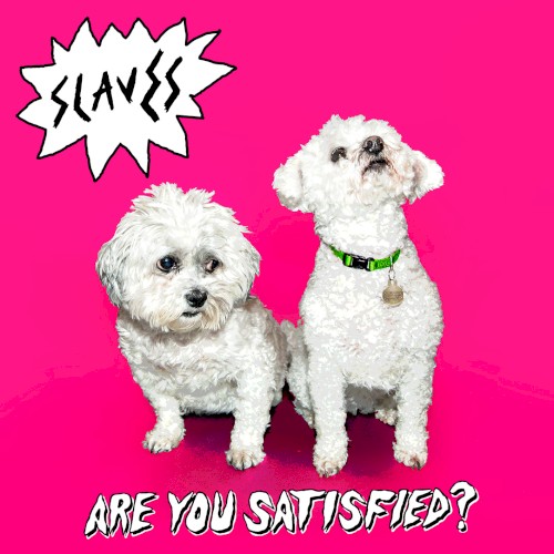 Are You Satisfied?