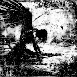 VOIDGRACE
