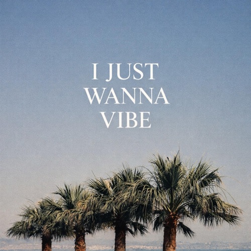 I Just Wanna Vibe