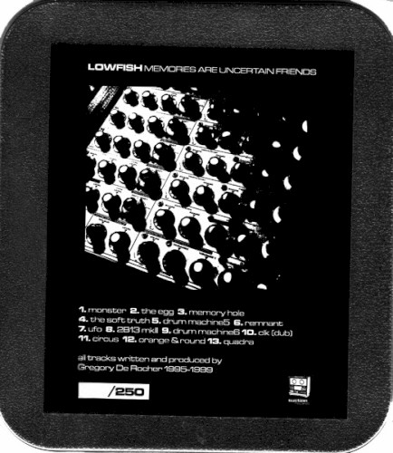 Memories Are Uncertain Friends