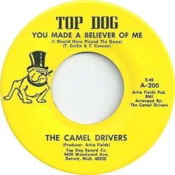 You Made A Believer Of Me (I Should Have Played The Game) / Give It A Try
