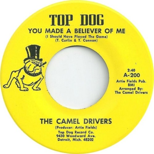 You Made A Believer Of Me (I Should Have Played The Game) / Give It A Try