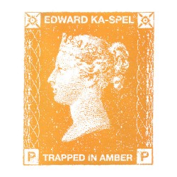Trapped in Amber