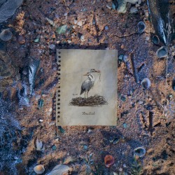 Brackish