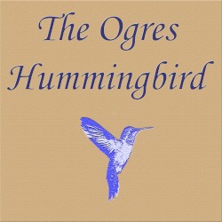The Ogres Hummingbird