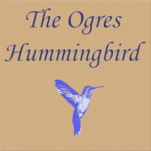 The Ogres Hummingbird