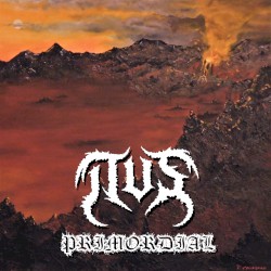Primordial