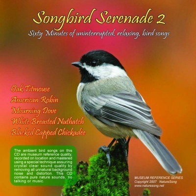 Songbird Serenade 2