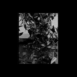 Glass House / Second Slowlight