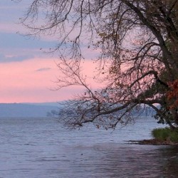 Inland Waters