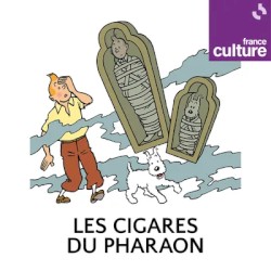 Les Aventures de Tintin : Les Cigares du pharaon