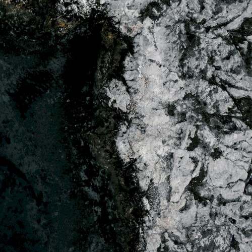 Abstract Mechanisms: One