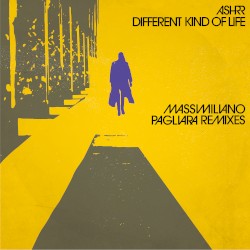 Different Kind of Life (Massimiliano Pagliara Remixes)