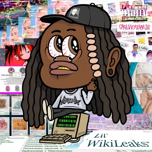 Lil Wikileaks