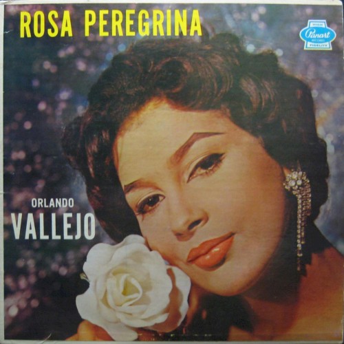 Rosa peregrina