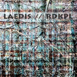 LAEDIS // RDKPL