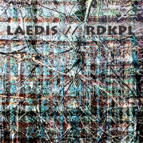 LAEDIS // RDKPL