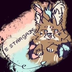 5stargaze
