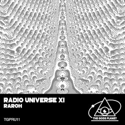 Radio Universe XI