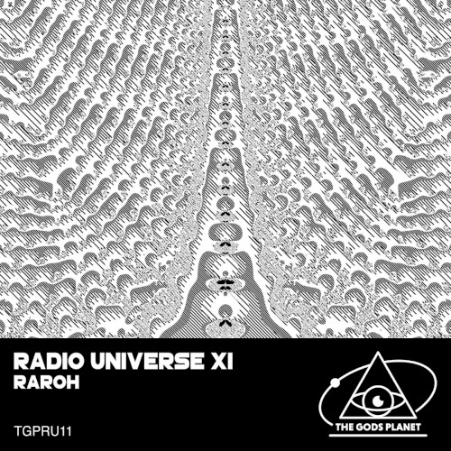 Radio Universe XI