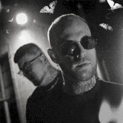 Blinder Pilot