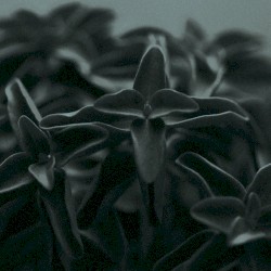 Diluvium