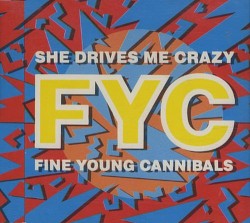 She Drives Me Crazy