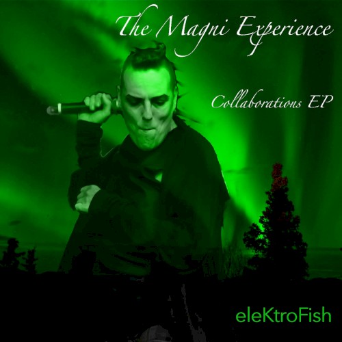 The Magni Experience - Collaborations