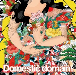 Domestic domain