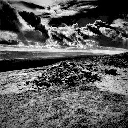 Fell, Fox, Fen