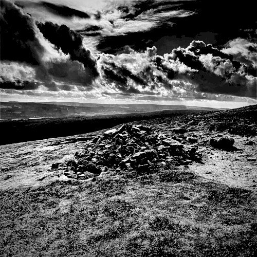 Fell, Fox, Fen