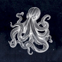 Kraken