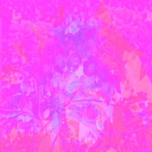 Flowers of Destruction