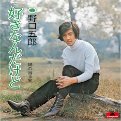 好きなんだけど