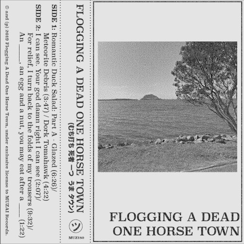 Flogging a Dead One Horse Town