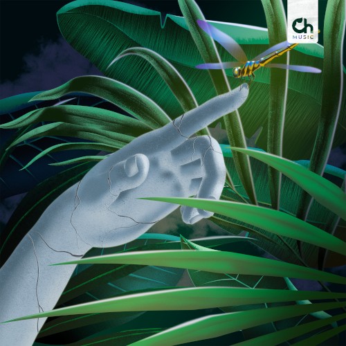 Tropical Midnight