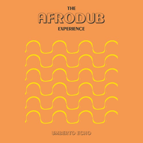 The Afrodub Experience