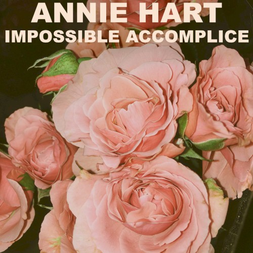 Impossible Accomplice