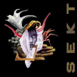 Sekt