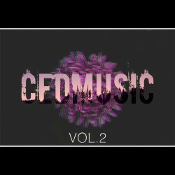 CedMusic Vol.2