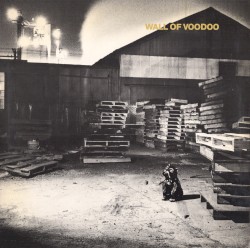 Wall of Voodoo