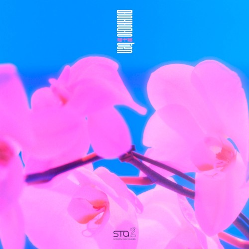 夢中夢 (몽중몽; Dream in a Dream)