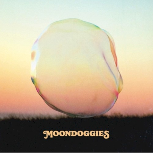 Moondoggies