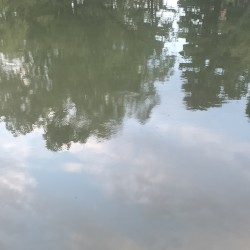 ambient kyoto 0015