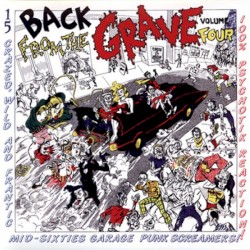 Back From the Grave, Volume 4