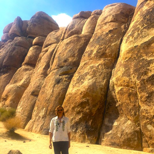 Desert Rose