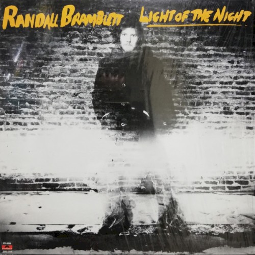 Light Of The Night