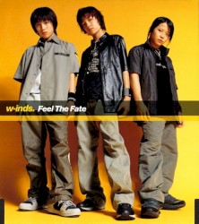 Feel The Fate
