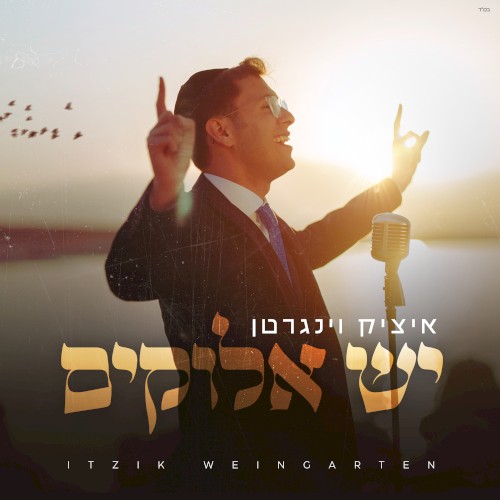 יש אלוקים