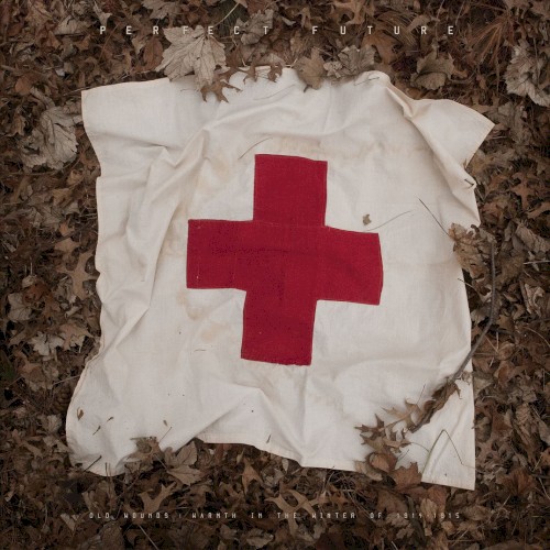 Old Wounds: Warmth in the Winter of 1914-1915